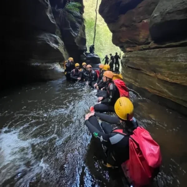 Special events action circle